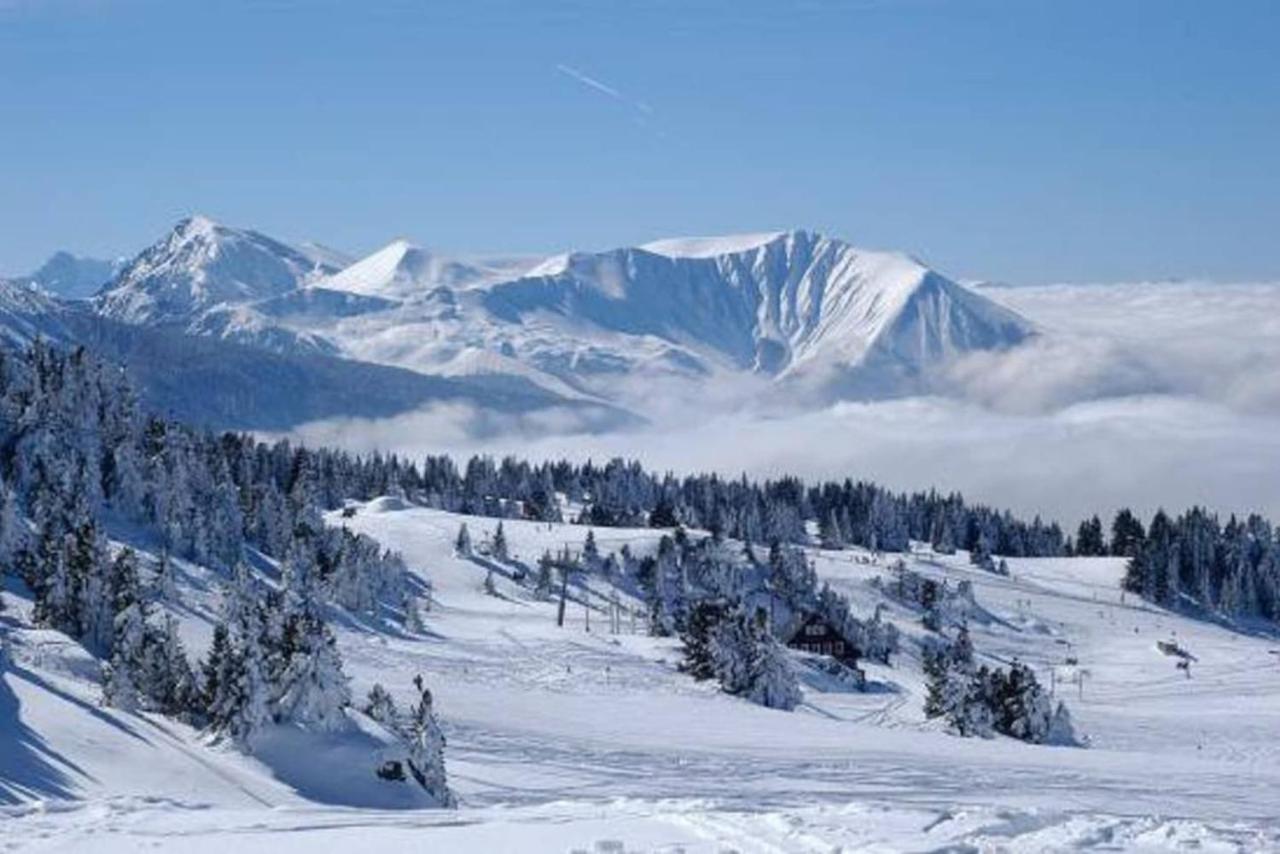 Charmant Studio Cabine Cocoon A 100 M Des Pistes Chamrousse Ngoại thất bức ảnh